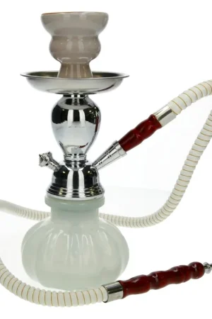 CHICHA RAGGA PUMPKIN Meilleure Vente