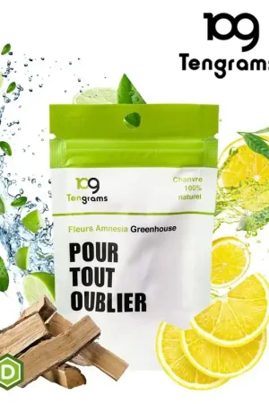 Bon Plan FLEURS DE CBD TENGRAMS AMNESIA 2G