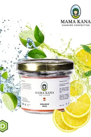 Expédié Aujourd’hui FLEURS DE CBD MAMA KANA ORANGE BUD 2G