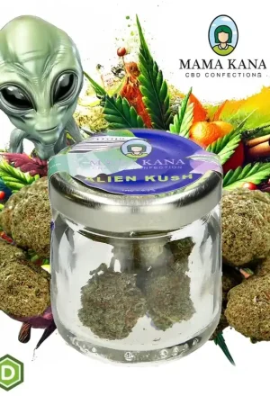 Prix Bas FLEURS DE CBD MAMA KANA HYDRO ALIEN KUSH 2G