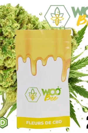 Seulement Aujourd’hui FLEUR DE CBD WOOBEE HQ SMALL BUDS GH 20G