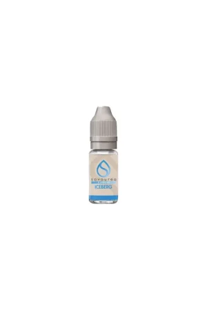 Prix Promo E liquide Iceberg 10 ml Savourea