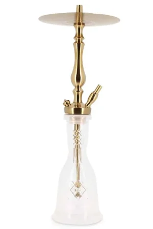 WD Hookah Tradi Gold T1G Solde