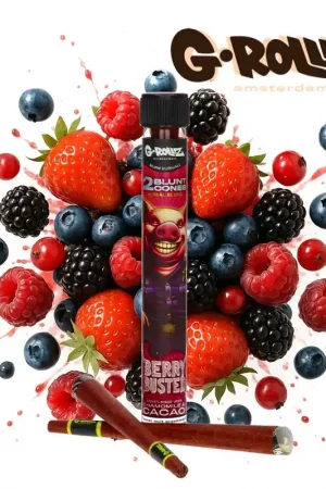 BLUNT PREROULE G ROLLZ TERPENES BERRY BUSTED PAR 2 Livraison Express