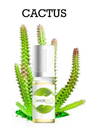 Promotion Saisonnière ARÔME CACTUS POUR E-LIQUIDE DIY - VAPOTE STYLE