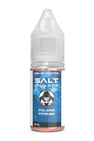 Polaris Intense sel de nicotine 10 ml - Salt E-Vapor Prix Promo