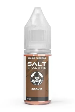 Prix Choc Cookie sel de nicotine 10 ml - Salt E-Vapor