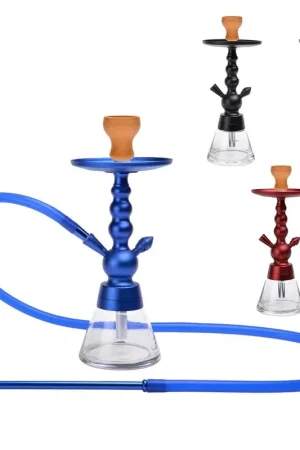 CHICHA GOBI 38CM Dernier Modèle