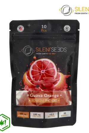 GUMMIES SILENT SEEDS GUAVA ORANGE DELTA9 100MG - CBD 100MG Haute Qualité