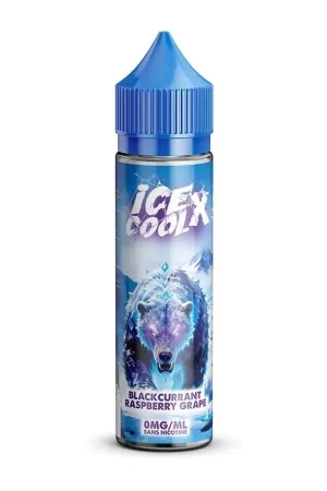 Blackcurrant Raspberry Grape 50 ml - Ice Cool X Acheter Direct