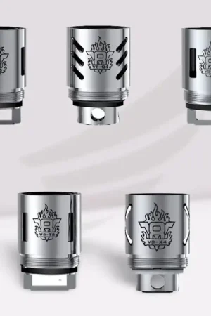 Dernière Chance Résistance TFV8 Smok
