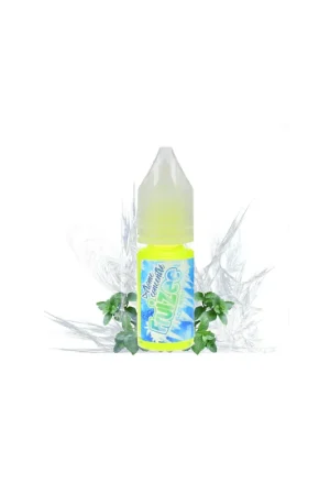 Meilleur Prix Concentré Icee Mint 10ml