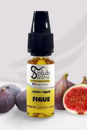 Arôme Solubarome Figue Achetez Aujourd’hui