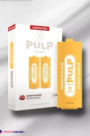 Bon Plan Cartouche - Mangue glacée - Le Pod Switch Pulp