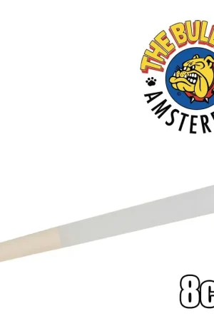 CONE THE BULLDOG 8CM PAR 6 Prix Cassé