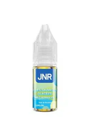 Wild Berries Ice Nic Salts JNR 10ml Authentique