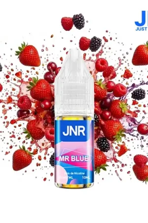 E-LIQUIDE JNR MR BLUE 20MG 10ML Prix Bas
