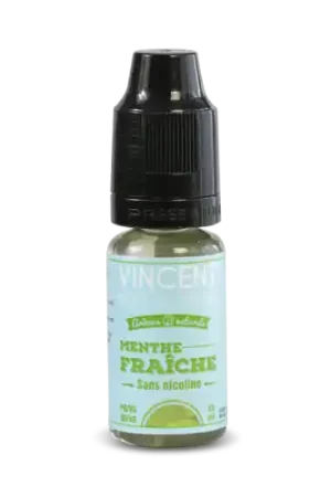 Pas Cher E Liquide MENTHE FRAICHE 10 ml - VDLV