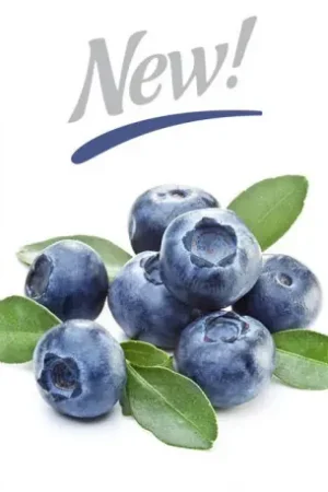 Arôme Blueberry Extra Flavor - Silverline Meilleur Prix