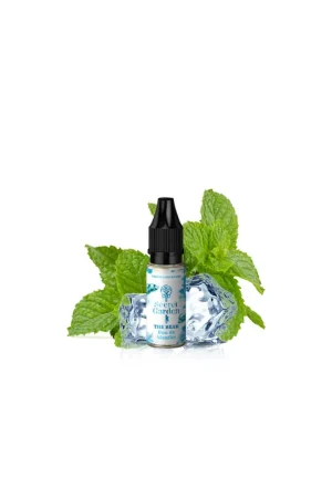 Vente Flash Concentré The Bear 10 ml - Secret Garden