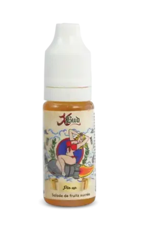 Expédié Aujourd’hui E Liquide PIN UP  10 ml - Liquideo