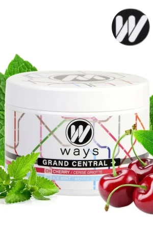 Certifié WAYS GRAND CENTRAL 200 GR