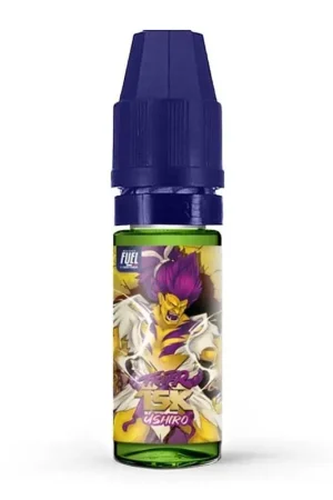 Ushiro Fighter X 10 ml - Fighter Fuel Dernier Modèle