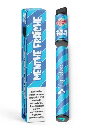 Wpuff 600 1 Batterie + 1 Pod Menthe Fraiche - Liquideo Haute Qualité