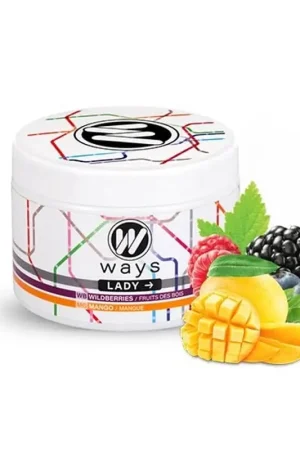 Achetez Aujourd’hui Goût pour Chicha Cellulose WAYS 200G