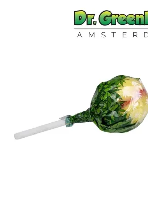 Dernière Chance SUCETTE CANNABIS STRAWBERRY BANANA KUSH