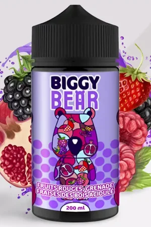 Prix Bas Fruits rouges Grenade Fraise des bois acidulée - Biggy Bear