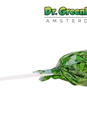 Commande En Gros SUCETTE CANNABIS PURPLE HAZE X TANGERINE DREAM