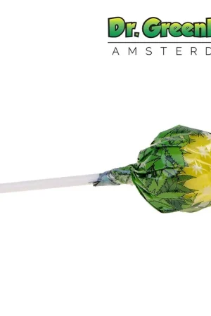 Expédié Aujourd’hui SUCETTE CANNABIS BUBBLE GUM X LEMON HAZE