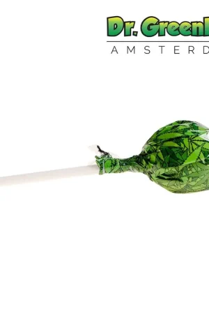 Livraison Express SUCETTE CANNABIS BUBBLEGUM X ORIGINAL KUSH