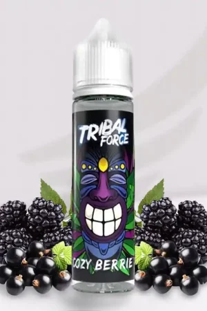 Acheter Direct Prêt à booster Cozy Berrie - Tribal Force