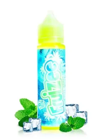 E-liquide icee mint 50 ml - Fruizee Paiement Sécurisé