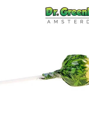 SUCETTE CANNABIS NORTHERN LIGHTS X PINEAPPLE EXPRESS Nouvel Arrivage