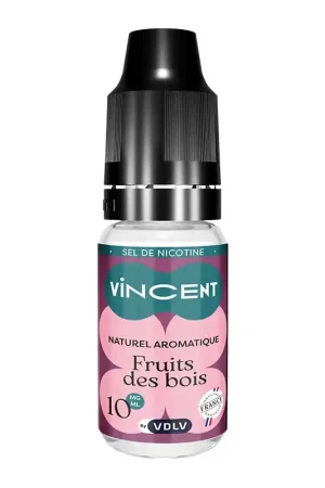 Fruits des Bois sels de nicotine 10 ml - VDLV Expédié Aujourd’hui