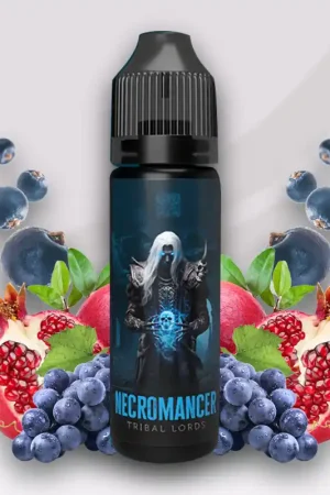 Prêt à booster Necromancer - Tribal Lords Retour Gratuit