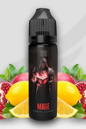 Prêt à booster Mage - Tribal Lords Solde