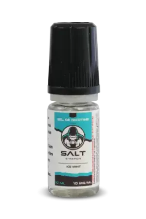 E Liquide ICE MINT SALT E-VAPOR 10 ml - French Liquide Top Vente