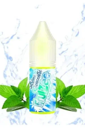 Offre Exclusive Arôme concentré Ice Mint - Fruizee