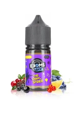 Arôme concentré The Punk Spider - Ekoms Lab Meilleur Choix