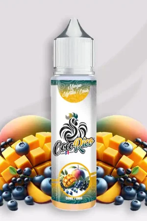 Promotion Saisonnière Mangue, myrtille, cassis 50ml - Cocorico - Buds Vape