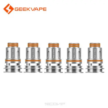 Dernière Chance Pack 5 résistances P GeekVape
