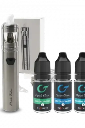 Vente Directe Pack ZLIDE TUBE saveur Mentholée