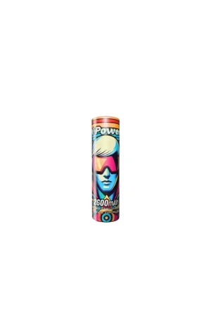 Accu 18650 2600 mAh Affaire À Saisir