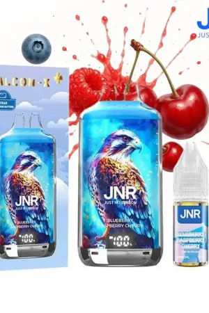 Expédition Rapide PUFF JNR FALCON-X PLUS BLUEBERRY RASPBERRY CHERRY 20MG 28000 PUFFS
