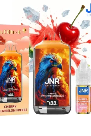 Bon Marché PUFF JNR FALCON-X PLUS CHERRY WATERMELON FREEZE 20MG 28000 PUFFS