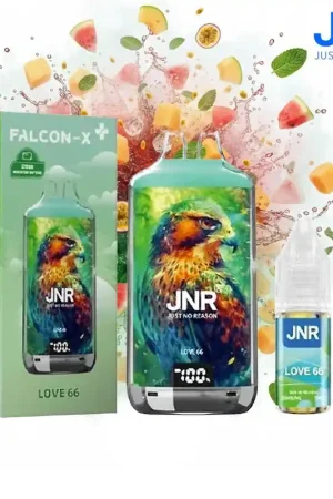 PUFF JNR FALCON-X PLUS LOVE 66 20MG 28000 PUFFS Prix Promo